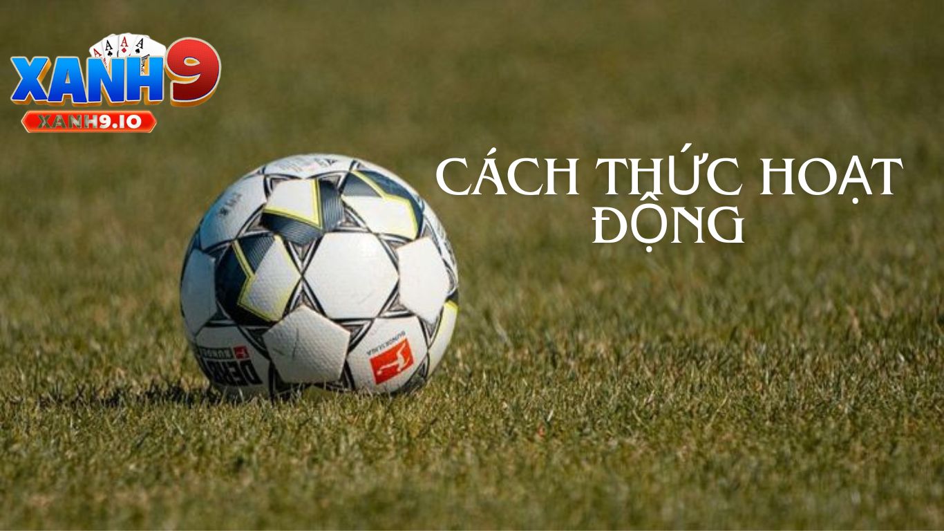 Kinh Nghiệm Đánh Kèo Rung Hiệu Quả