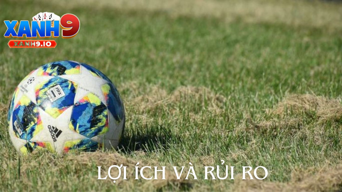 Lợi Ích và Rủi Ro Khi Đánh Kèo Rung