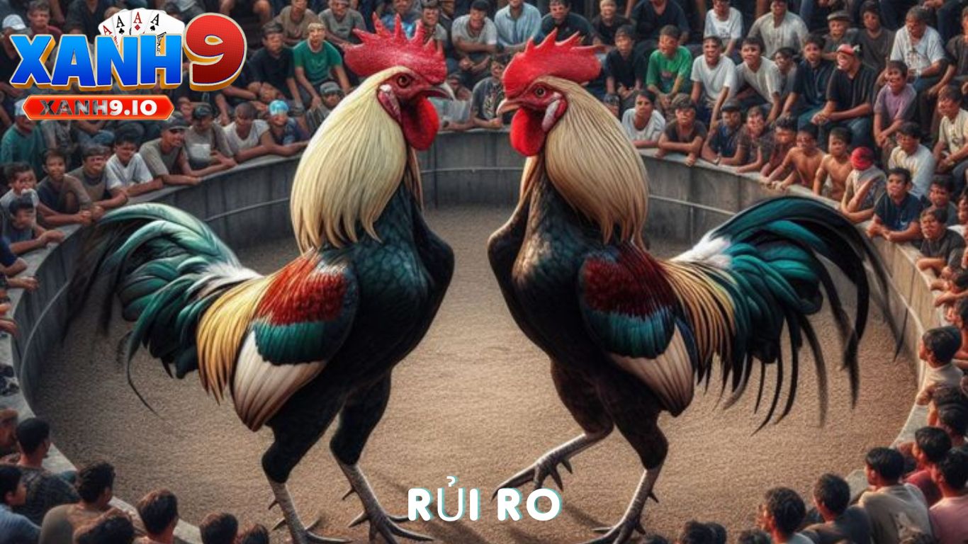 Đá Gà Online Có Hợp Pháp Không? Tất Cả Những Điều Bạn Cần Biết Cùng XANH9 4 Những Rủi Ro Khi Tham Gia Đá Gà Online