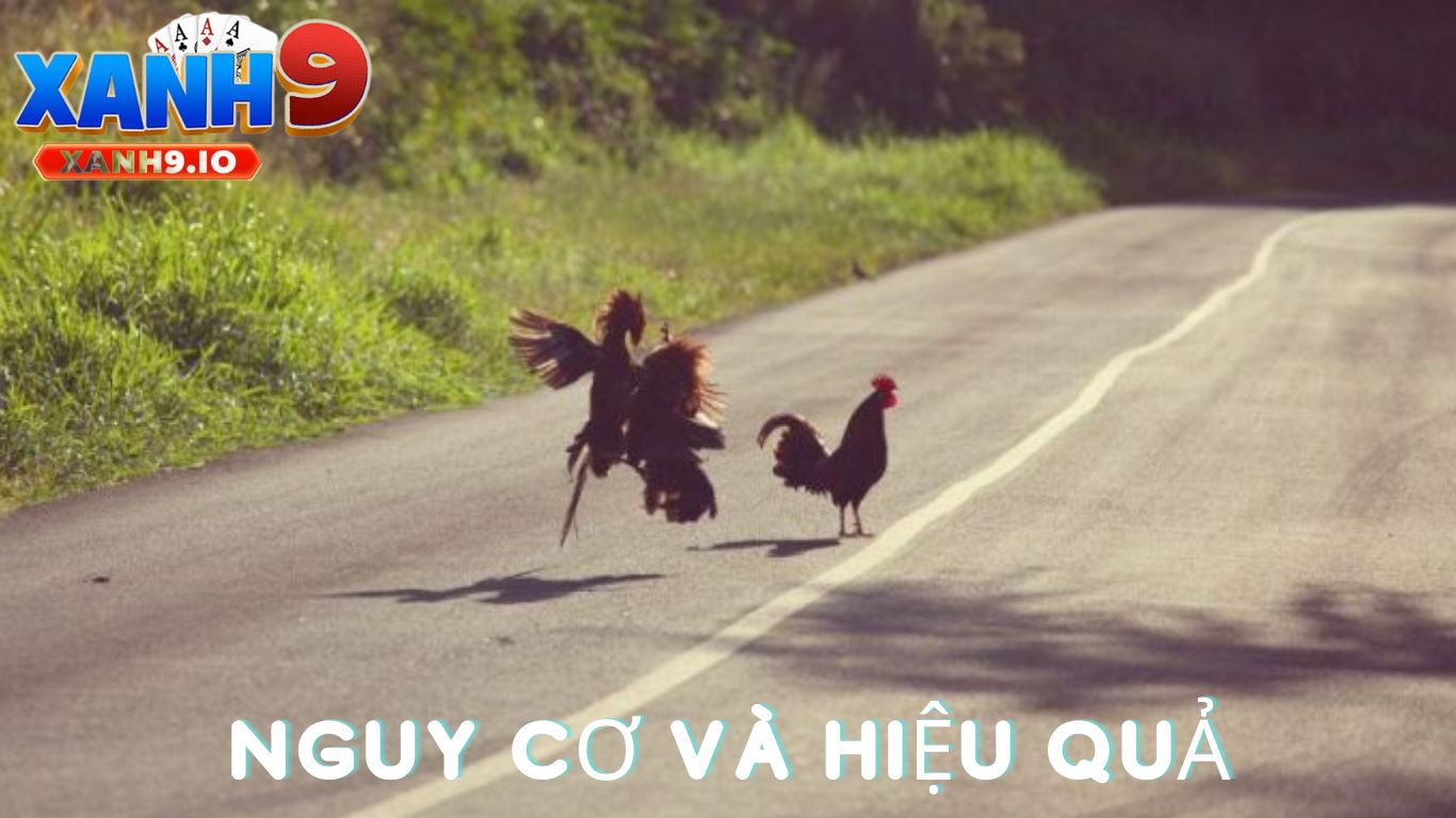 Đá Gà Bịp: Sự Thật Và Những Điều Bạn Cần Biết 4 Nguy Cơ và Hậu Quả Của Đá Gà Bịp